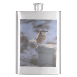 Flasque Blue Jay