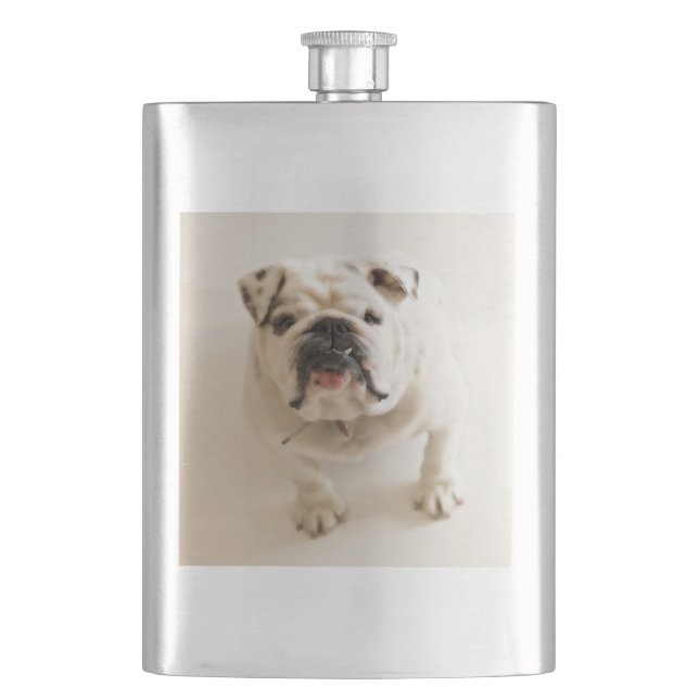 Flasque bulldog blanc (devant)