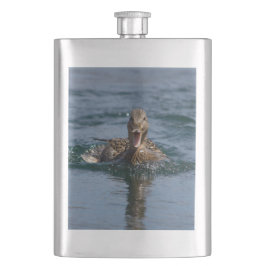 Flasque Canard avec bec ouvert