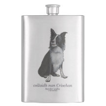 collie frontalière - collaidh nan Crìochan