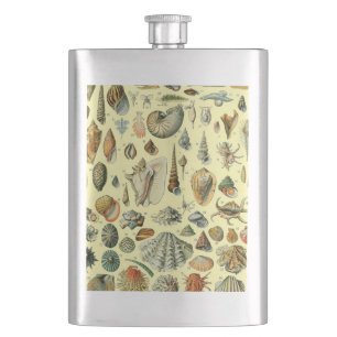 Flasque Coquillages de coquillages Mollusk Clam Élégant Ar