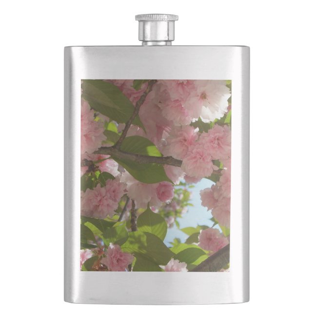 Flasque Double floraison cerisier III printemps fleuri (devant)