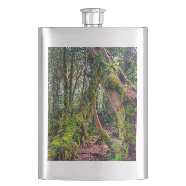 Flasque Forêt moussue (devant)