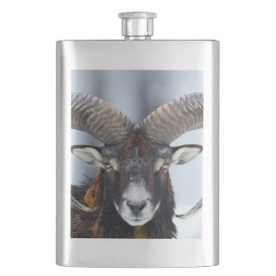 Flasque Gros mouton de bélier à corne - Mouflon