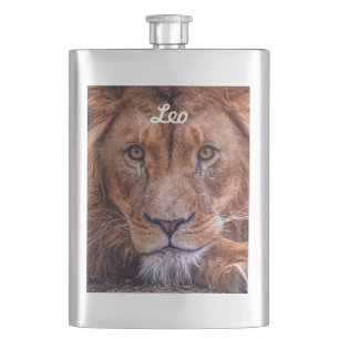 Flasque Lion africain