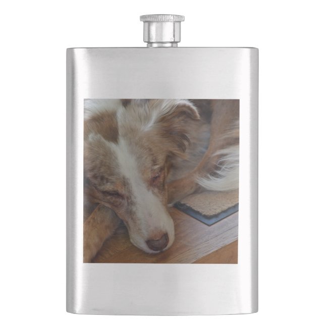 Flasque merle rouge aussie dormant (devant)