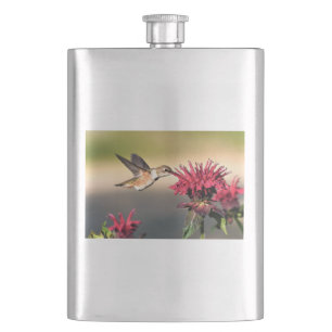 Flasque Nourriture des fleurs de colibri