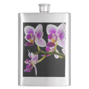 Flasque Orchidée blanche et violette