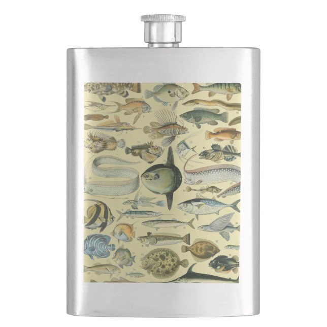 Flasque Pêche scientifique vintage (devant)