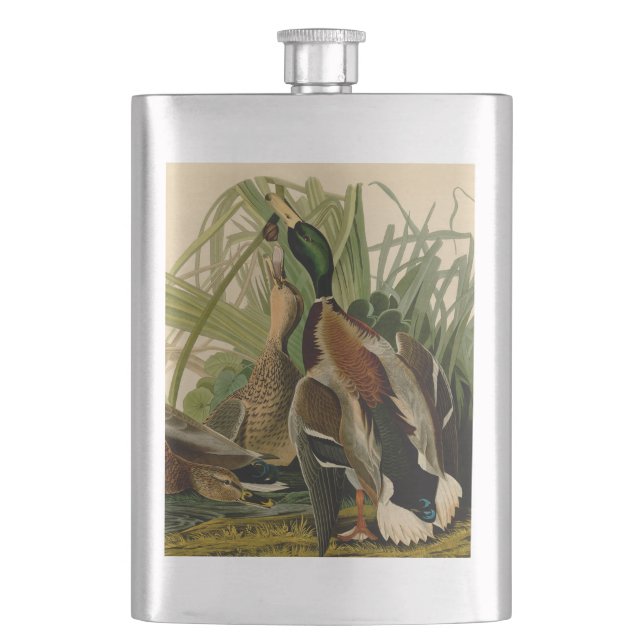 Flasque Peinture d'oiseaux de Mallard Duck Audubon (devant)