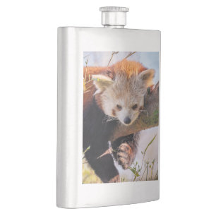 Flasque Petit panda rouge pâle