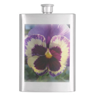 Flasque ressort coloré Pansy