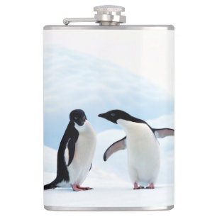 Flasques Adelie Penguins