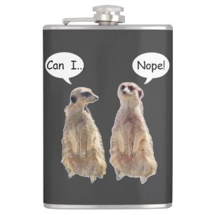 Flasques Amusant, mignon meerkats en conversation