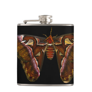 Flasques Atlas Moth