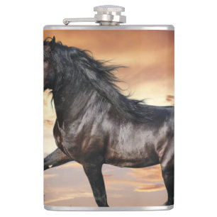 Flasques Beau Cheval Noir