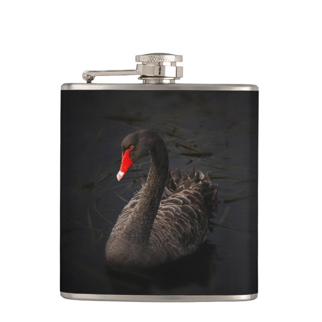 Flasques Beau cygne noir avec un bec rouge vif (Devant)