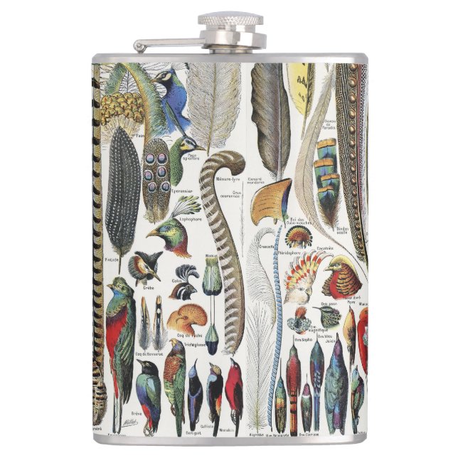 Flasques Bird Feather Wildlife Antique Feathers Art Nouveau (Devant)