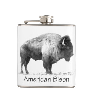 Flasques Bison américain