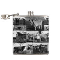 Black White Highland Photographie de vache, Hip Fl