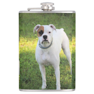 Flasques Boxer