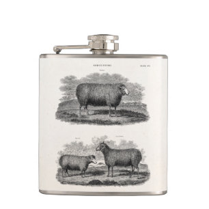 Flasques Brebis vintages d'animaux de ferme de brebis de