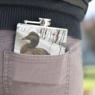 Flasques Canard gris sur le lac sombre