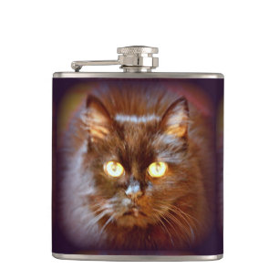 Flasques chat noir