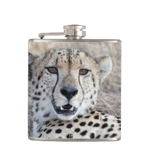 Flasques Cheetah Portrait