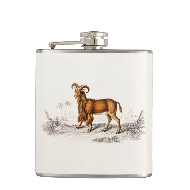 Flasques Chèvre barbue vintage dessinant de rétros chèvres (Devant)