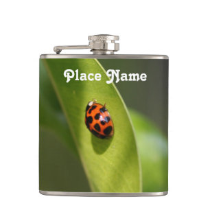 Flasques Coccinelle
