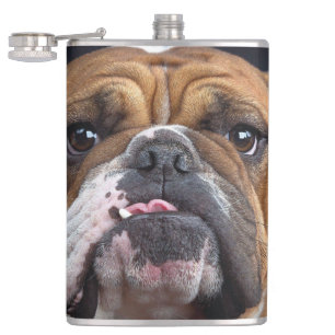 Flasques Coussin de jet de Bouledogue Anglais
