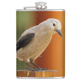 Flasques Curious Clark's Nutcracker