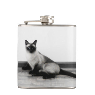 Flasques CUTE Siamese Portrait de chat