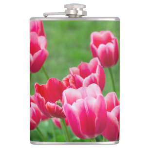 Flasques De mignonnes tulipes écarlate dans le jardin