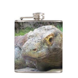 Flasques Dragon de Komodo sur les roches