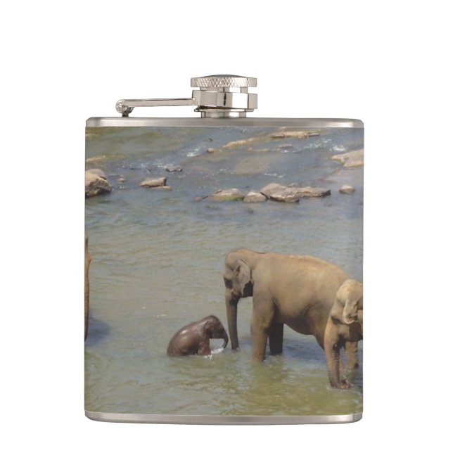 Flasques elephant-84.jpg (Devant)