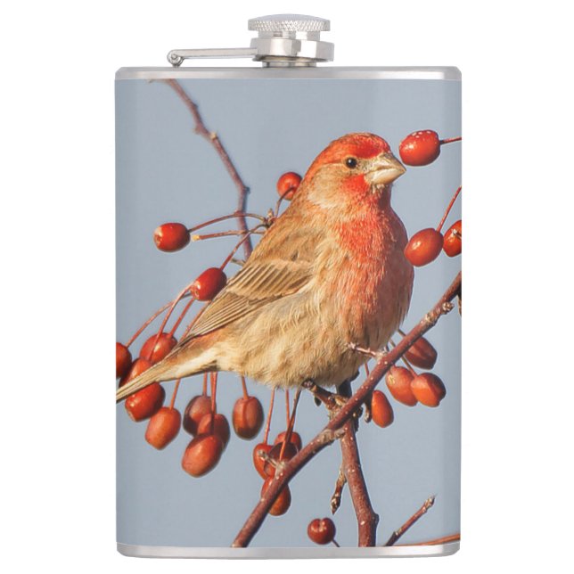Flasques Finch maison avec Berries Hawthorn (Devant)
