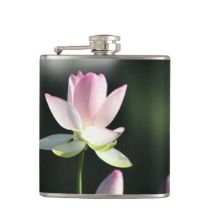 Flasques Fleur de Lotus rose et blanc