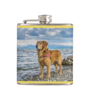 Flasques Golden retriever se tenant sur l'océan bleu
