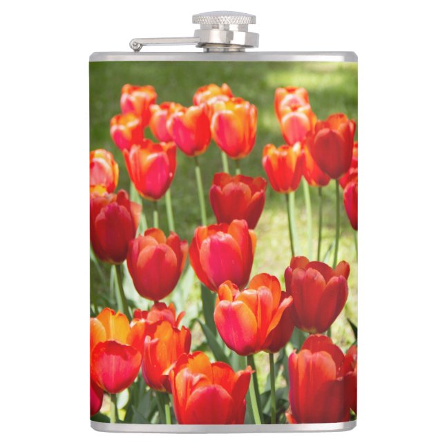 Flasques Grand champ de tulipes rouges (Devant)