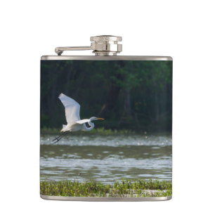Flasques Grand vol d'aigrettes blanches