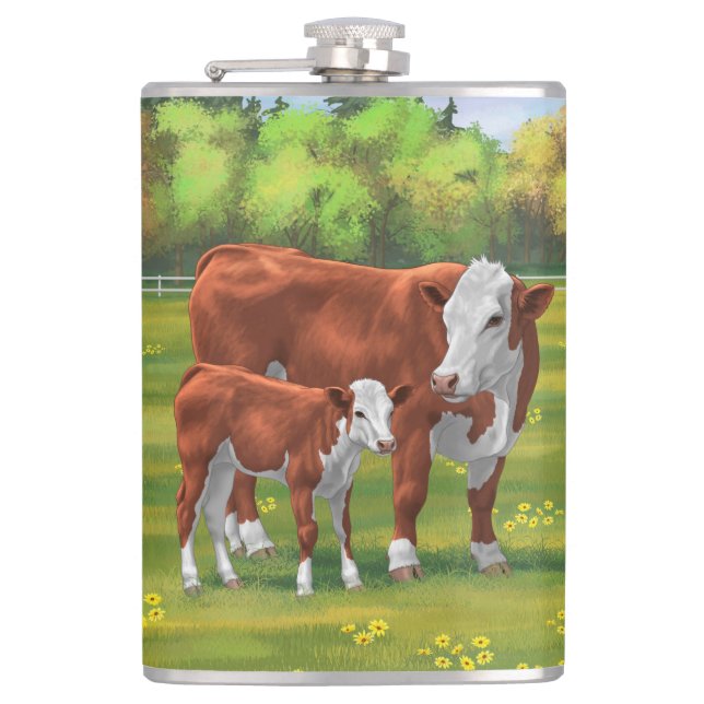 Flasques Hereford Cow & Cute Calf dans les pâturages d'été (Devant)