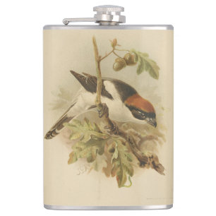 Flasques Illustration vintage de Pie-grièche d'été