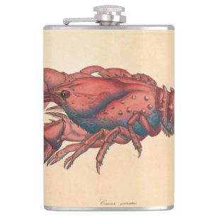Flasques James Sowerby Homard serbé