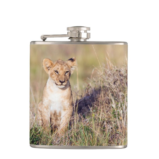 Flasques Jeune lion (Devant)