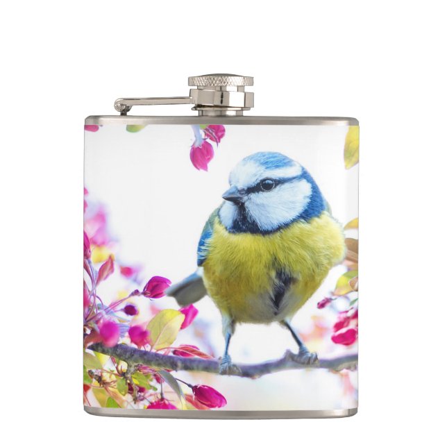 Flasques Joli oiseau bleu et jaune sur une branche Photogra (Devant)