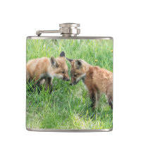 Kits Red Fox