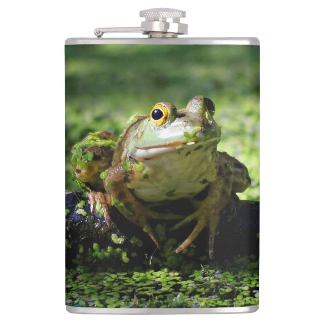 Flasques La grenouille verte frappe un pot sur le tuyau (Devant)