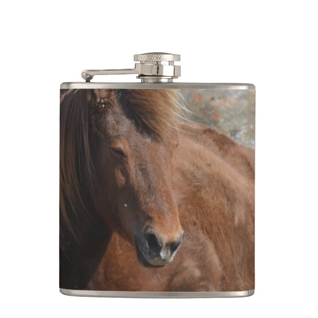 Flasques Magnifique Chestnut Icelandic Horse (Devant)